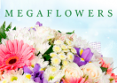 скидки Megaflowers